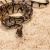 ExoTerra Exo Terra Snake Bedding 26,4 L