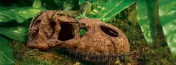 ExoTerra Exo Terra T-REX Kranie