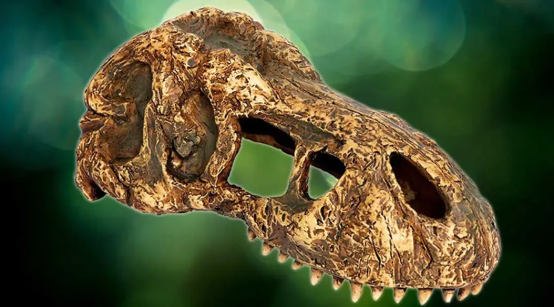 ExoTerra Exo Terra T-Rex kranie lille