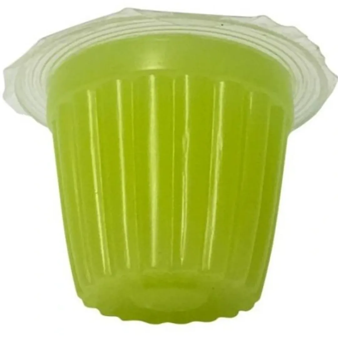 Foder til Krybdyr Frugt Jelly 17 g (Beetle Jelly)