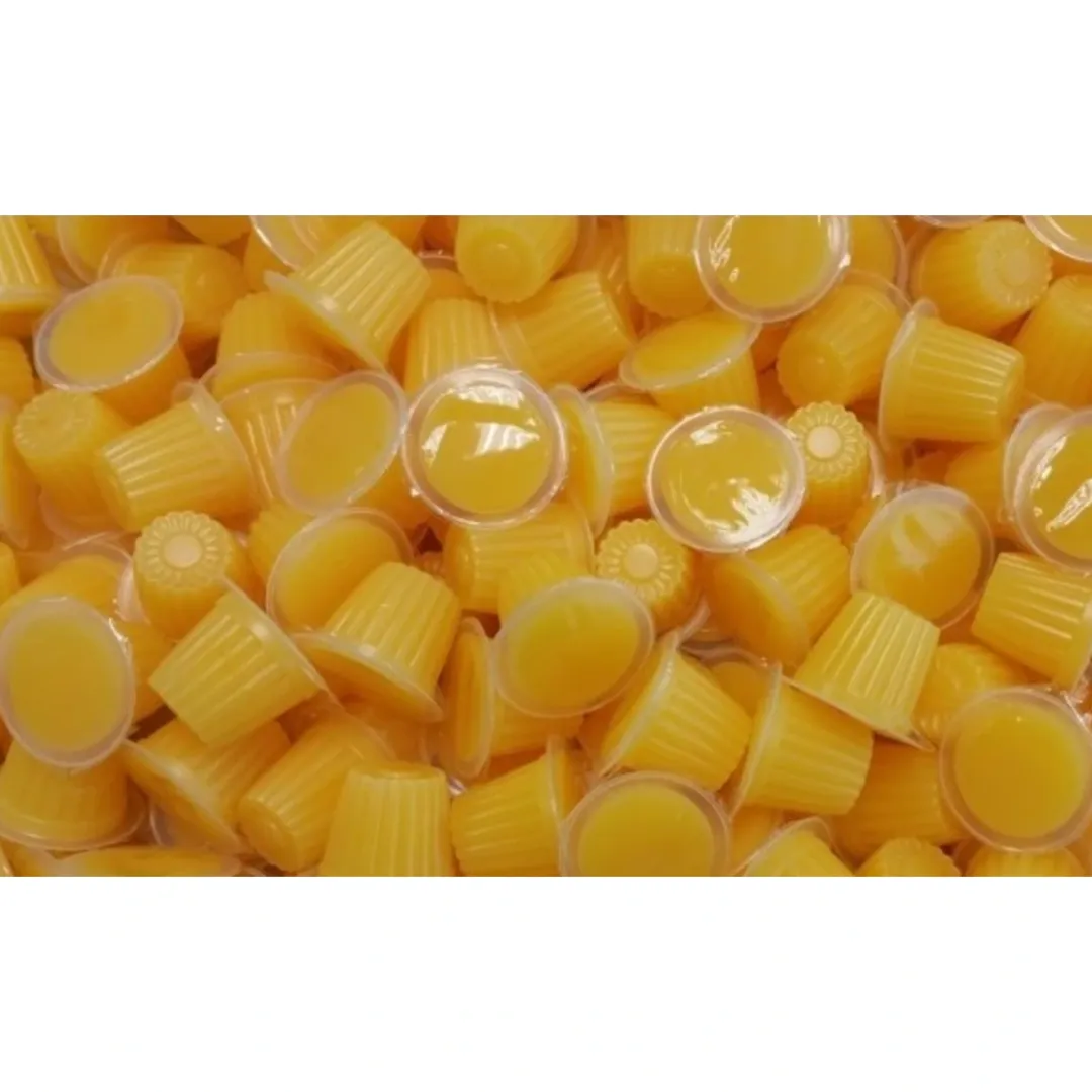 Foder til Krybdyr Frugt Jelly 17 g (Beetle Jelly)