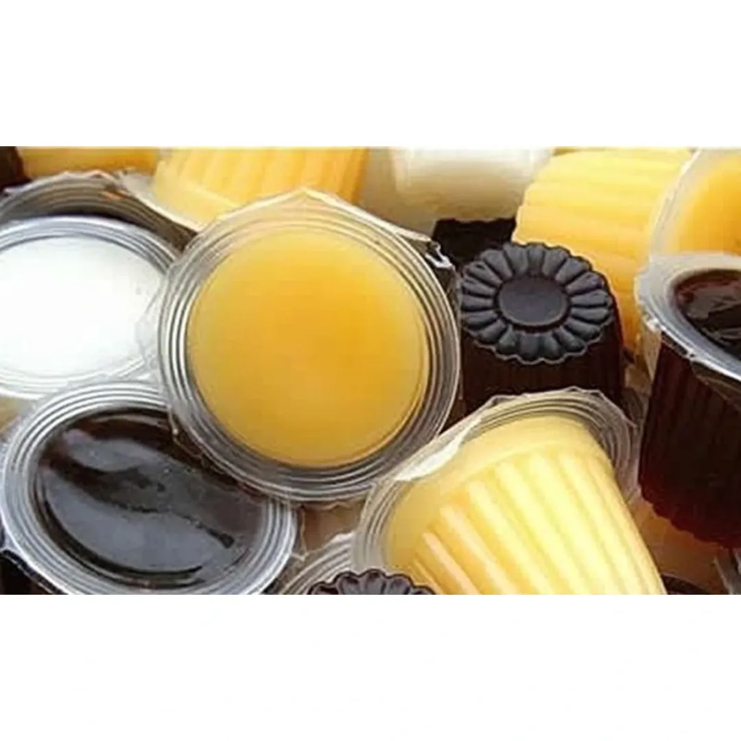 Foder til Krybdyr Frugt Jelly 17 g (Beetle Jelly)