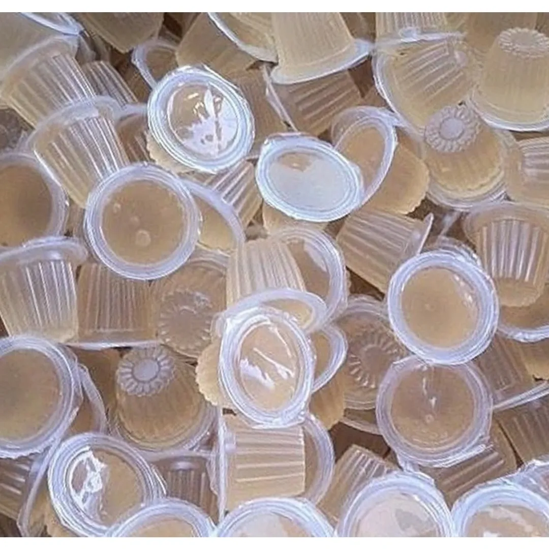 Foder til Krybdyr Frugt Jelly 17 g (Beetle Jelly)