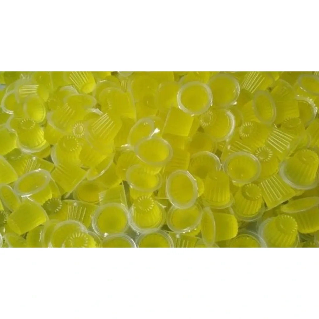 Foder til Krybdyr Frugt Jelly 17 g (Beetle Jelly)