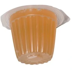 Foder til Krybdyr Frugt Jelly 17 g (Beetle Jelly)