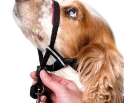 Halti OptiFit snudesele til hund lille
