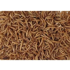 Hobbyfirst Hobby First Melorme tørret300 g til vildtfugle