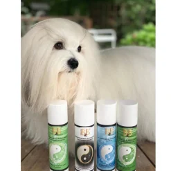 B&B Økologisk Hundeshampoo Hundefrisørens professionelle fugtgivende shampoo 200 ml