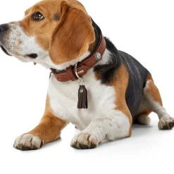 Hunter Cody 65 Cognac Mørkebrun hundehalsbånd - 50-56 cm
