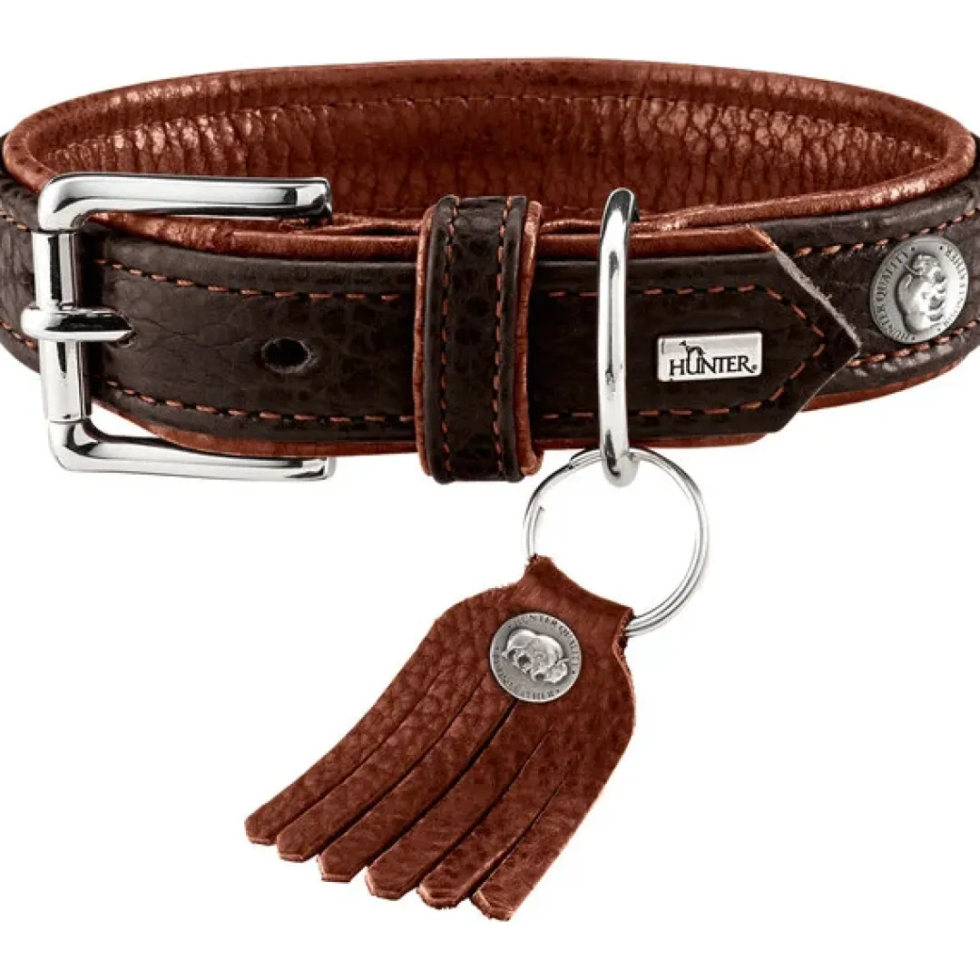 Hunter Cody 45 Mørkebrun Cognac hundehalsbånd - 33-39 cm