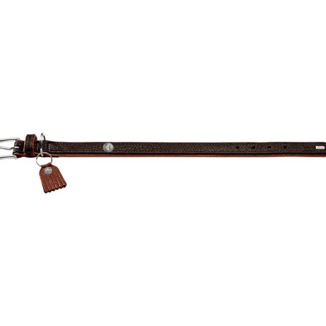 Hunter Cody 45 Mørkebrun Cognac hundehalsbånd - 33-39 cm