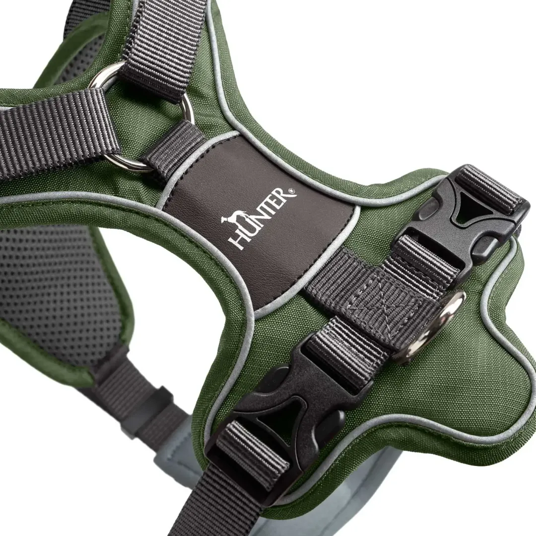 Hunter Divo hundesele L grøn/grå just mave 72-100 cm - Stabil kontrol og komfort