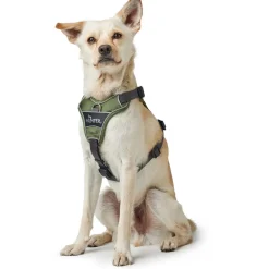 Hunter Divo hundesele L grøn/grå just mave 72-100 cm - Stabil kontrol og komfort