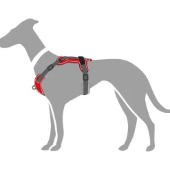 Hunter Divo hundesele L-XL rød/grå just mave 79-107 cm - Ekstra stabilitet og komfort