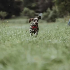 Hunter Divo hundesele L-XL rød/grå just mave 79-107 cm - Ekstra stabilitet og komfort