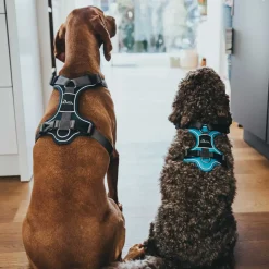 Hunter Divo hundesele S petrol/grå just mave 45-56 cm - Fleksibel kontrol og komfort i balance