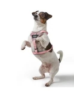 Hunter Divo Up hundesele XS lyserød just mave 34-47 cm - Blid påtagning og let ergonomisk komfort