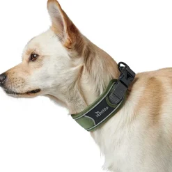 Hunter Halsbånd Divo XL Grøn/Grå - justerbart hundehalsbånd (55-65 cm, B 5,5 cm)