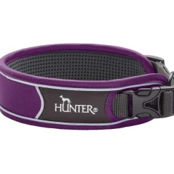 Hunter Halsbånd Divo XL Violet/Grå - justerbart hundehalsbånd (55-65 cm, B 5,5 cm)