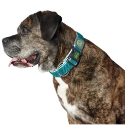Hunter hunde halsbånd Hilo Turkis S-M - justerbart hundehalsbånd (30-43 cm, B 2,5 cm)