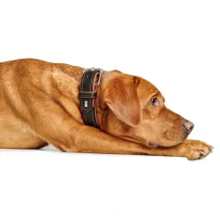 Hunter Hundehalsbånd læder Canada Elg Str.40 Sort/Cognac - 29-35 cm