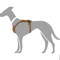 Hunter Hundesele Aalborg cognac XL (M-L/1) - Bryst/hals 58-80 cm