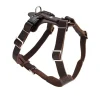 Hunter Hundesele Aalborg mørkebrun S-M/1 - Bryst/hals 44-56 cm