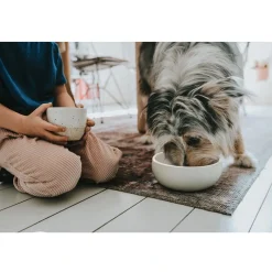 Hunter keramik Lund hunde skål 350 ml Beige