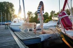 Hunter Sansibar Solid 45 Hundehalsbånd i læder - 34-40 cm