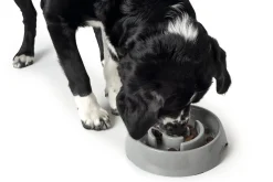 Hunter Slow Feeding 900 ml Grå