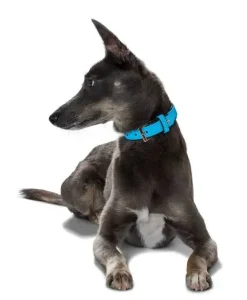 Hunter Softie hundehalsbånd 30 cm brun - 18-24 cm indstilling