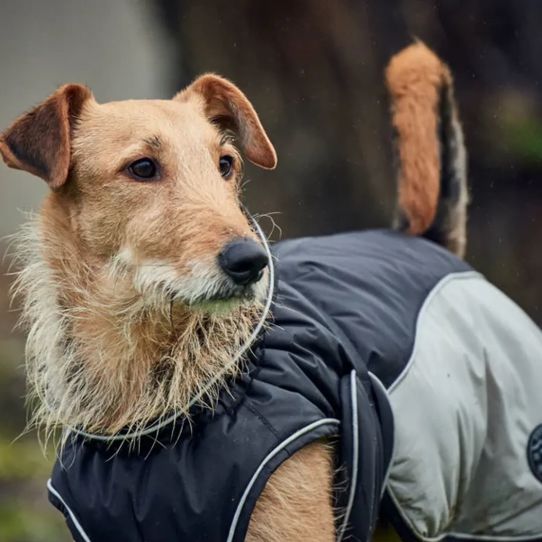 Hunter Uppsala Hundefrakke Grå 40 cm