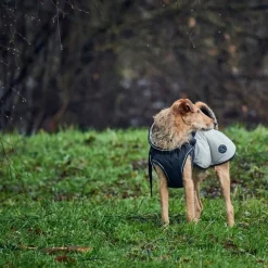 Hunter Uppsala Hundefrakke Grå 55 cm