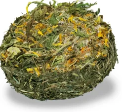 JR Farm JR Cookies Mælkebøtte 75 g