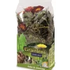 JR Farm JR Grainless PLUS Salvie/Mælkebøtte 100 g