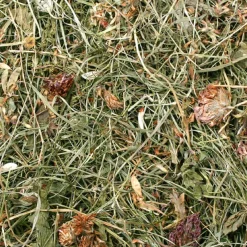 JR Farm JR Kløvereng 500 g