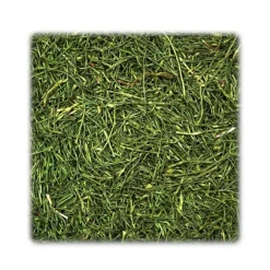 JR Farm JR Persillestilke 150 g