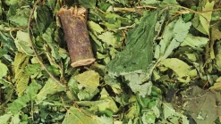 JR Farm JR Skovhemmelighed 100 g