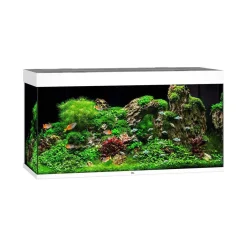 Juwel Akvarium Led Rio 350 Hvid 121x51x66 cm 350 L