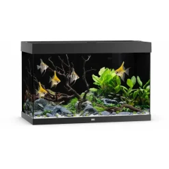 Juwel Akvarium Juwel Aquarium LED Rio 290 Liter Sort