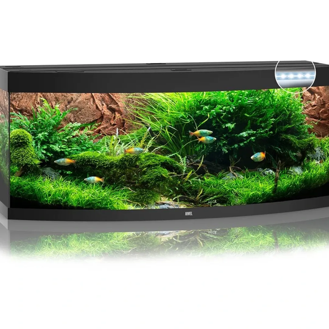 Juwel Akvarium Juwel Aquarium VISION 450 LED Sort