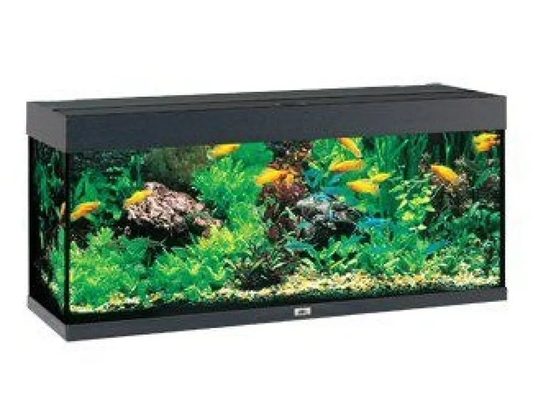 Juwel Akvarium Juwel Rio 240 L Sort 121x41x55 cm