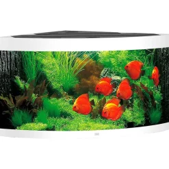 Juwel Akvarium Juwel Trigon 350 Hvidt Akvarium