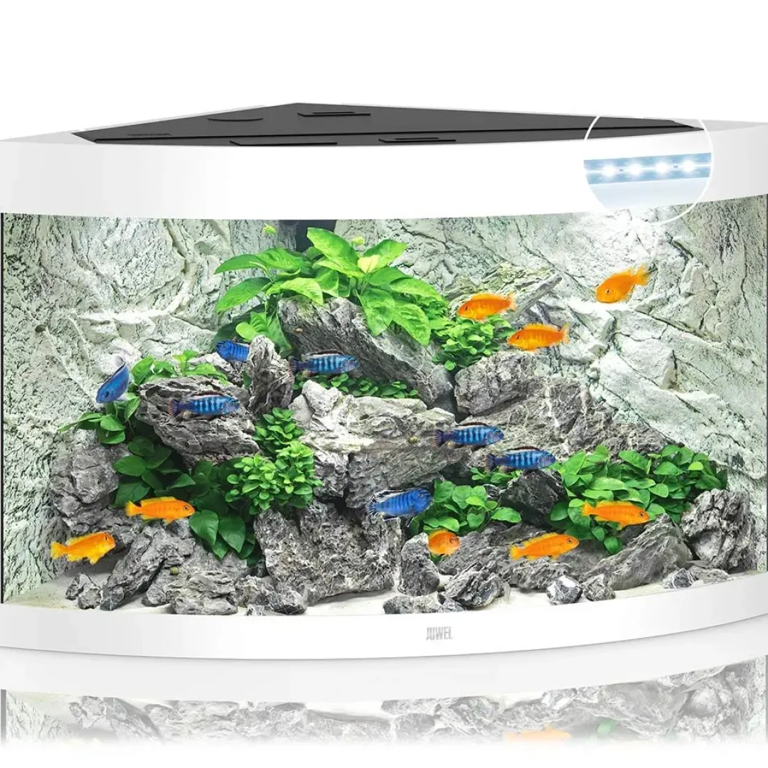 Juwel Akvarium Juwel Trigon 350 Hvidt Akvarium