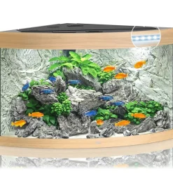 Juwel Akvarium Juwel Trigon 350 LED Eg Aquarium