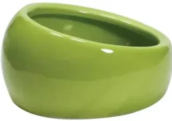 Pawise Keramikskål 13,5 cm Grøn