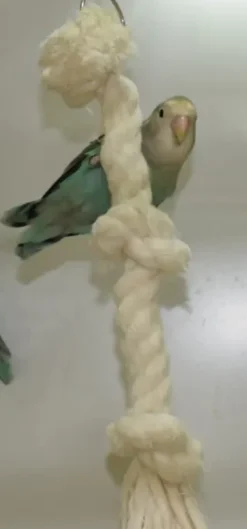 Nobby Klatrereb med knuder 38 cm