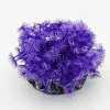 Blau - Aquaristic Kunstig koral Xenia (Purple) 9x9x10 cm