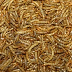 MiniZoo Melorme Tørret 1 kg