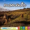 Natura Diet Super premium Hunde & kattefoder Moments hundesnack Puppy 60 g - blød træning til hvalpe
